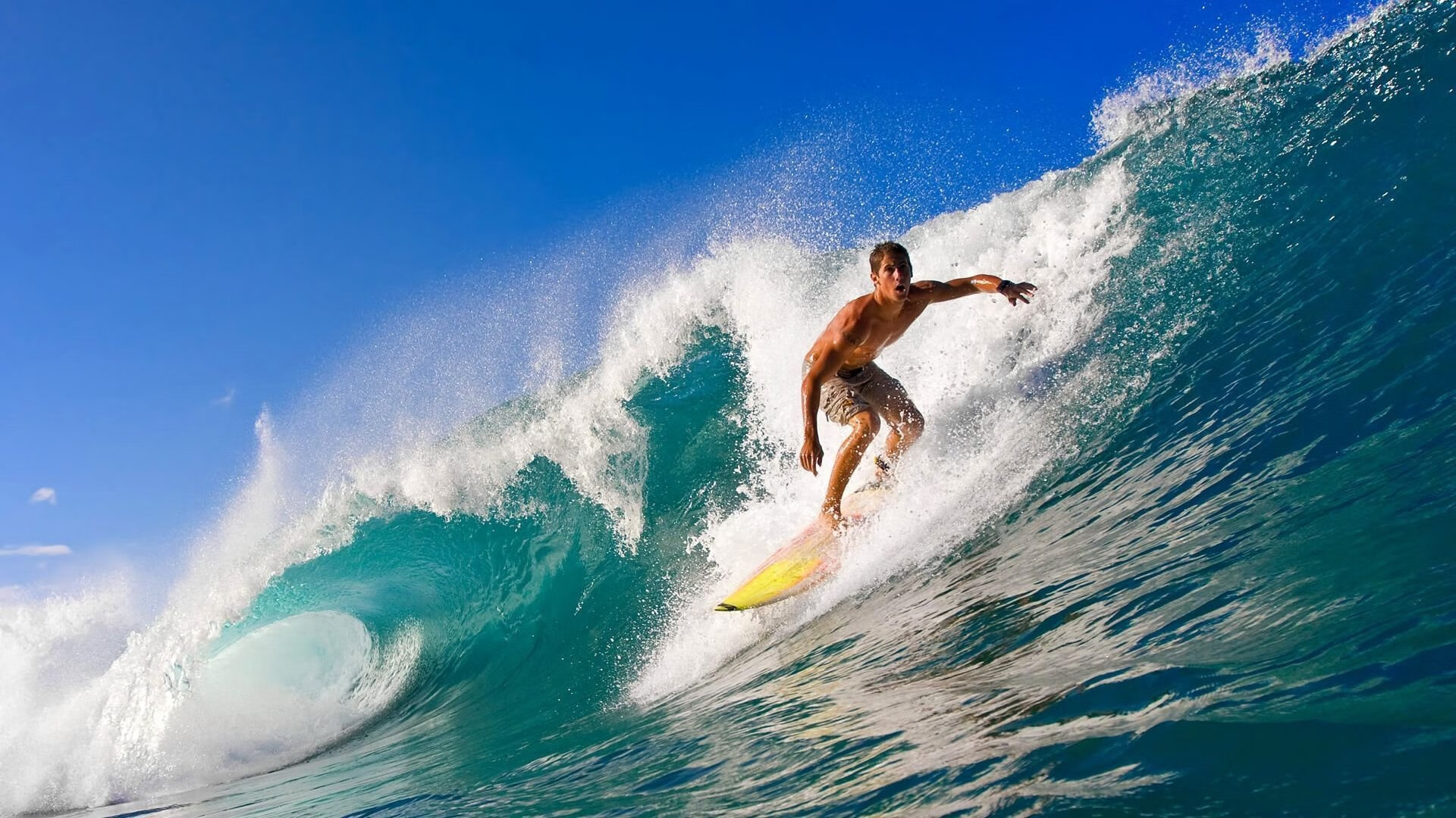 综合体育系女子运动嘉年华开幕 全女声阵容点燃赛场